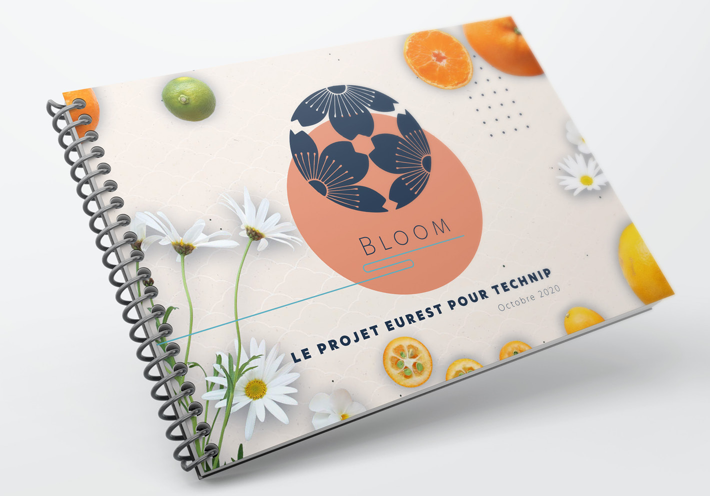 Livre pour l'appel d'offre de Technip